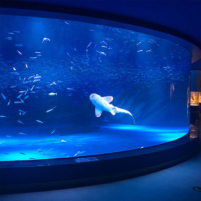 Thick Cast Acrylic Sheet Panel Bending for Large Aquarium Swimming Pool Oceanarium Tunnel Underwater Viewing Windows